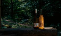 Featured image of post ナチュラルワインとは？初心者でも分かる選び方と私のおすすめワイン